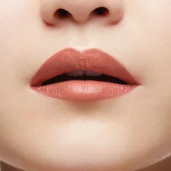 Christian Louboutin Lip Satin VERY GIL Lipsticks -Christian Louboutin Online Shop christian louboutin lip satin 15566719 27855702 1000